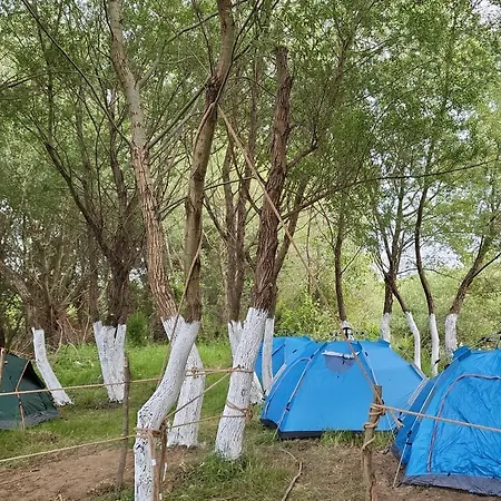 Campingplads Micro Africa Site *