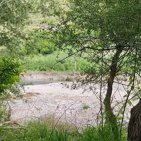 Campingplads Micro Africa Site