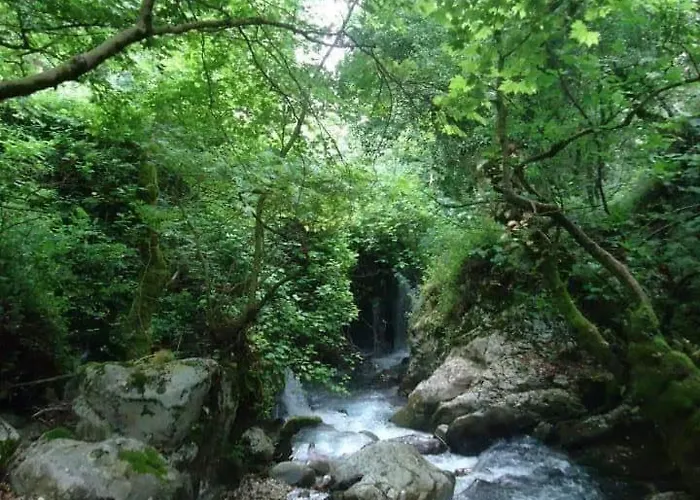 Micro Africa Site Karpen